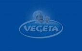 Vegeta Stock Powder